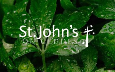 A Foretaste of Things to Come – Matthew 17:1 – 13